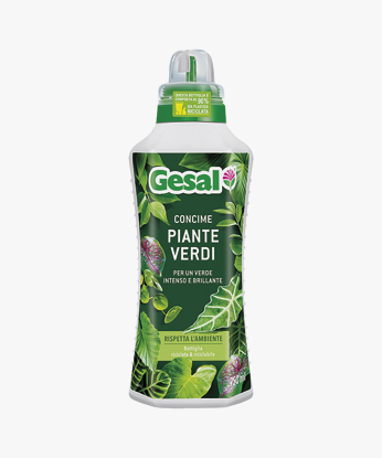 CONCIME PIANTE VERDI