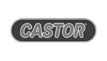 CASTOR